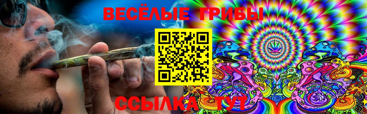 Галлюциногенные грибы ЛСД Шали